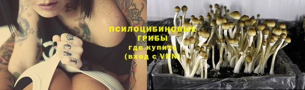 трава Алексин