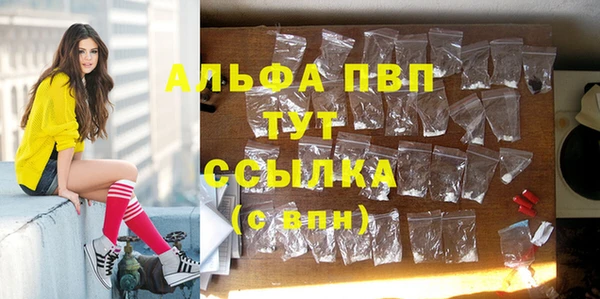 прущие крисы Алзамай