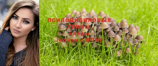 прущие крисы Алзамай