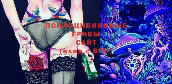прущие крисы Алзамай